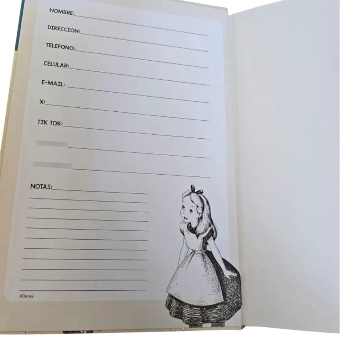 libreta a5 princesa alicia disney