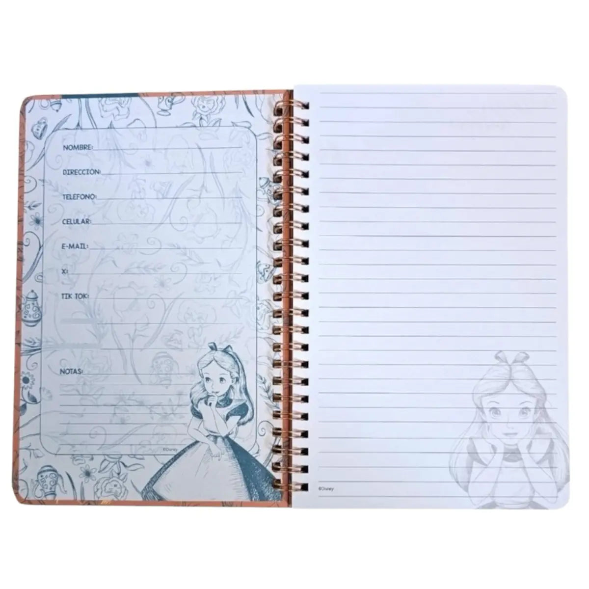 libreta a5 princesa alicia disney espiral