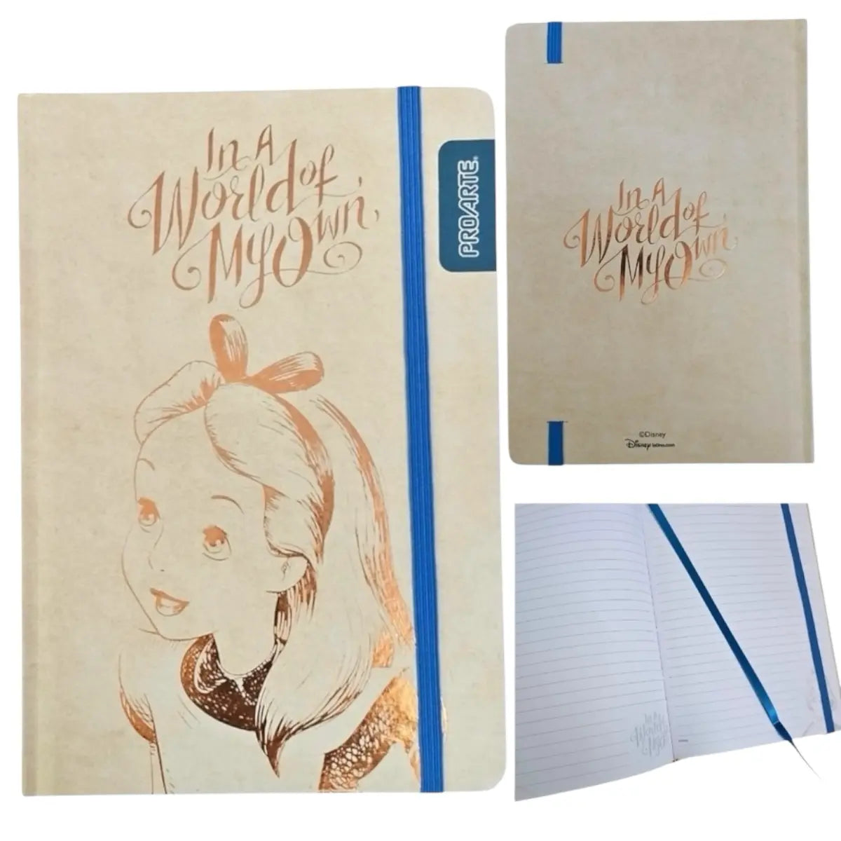 libreta a5 princesa alicia disney