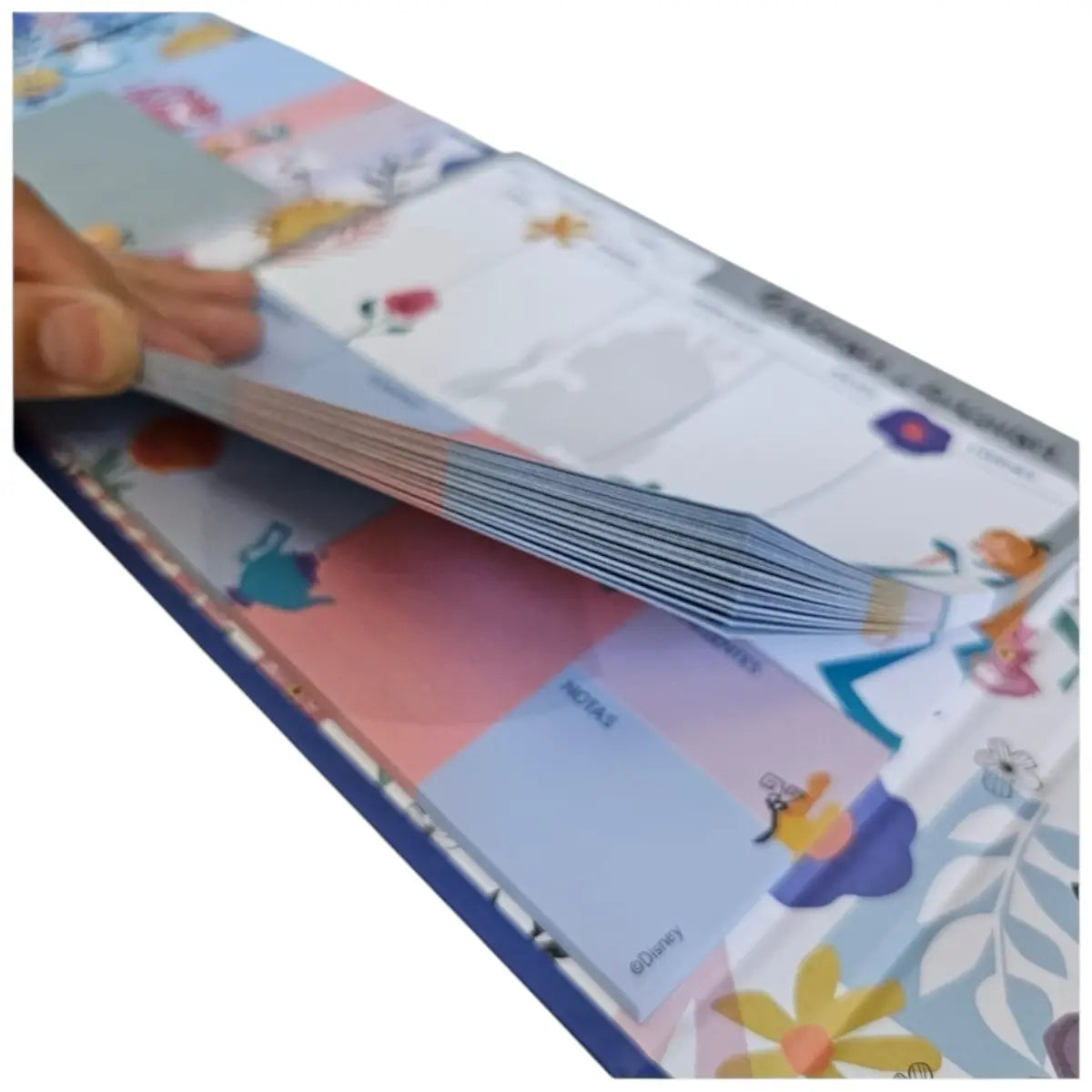 set posit Alicia maravillas disney